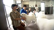 「フットマップ」のワンシーン