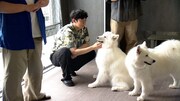 「フットマップ」のワンシーン