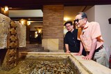 甲子園が舞台の「ブラタモリ」8月22日放送回より