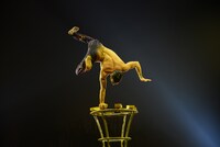 シルク・ドゥ・ソレイユ「ダイハツ トーテム」公開リハーサルの様子。