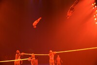 シルク・ドゥ・ソレイユ「ダイハツ トーテム」公開リハーサルの様子。