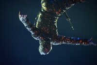 シルク・ドゥ・ソレイユ「ダイハツ トーテム」公開リハーサルの様子。