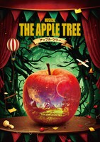 ミュージカル「アップル・ツリー」チラシ