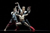 2012年に上演された、シディ・ラルビ・シェルカウイ振付、森山未來出演の「テ ヅカ TeZukA」。