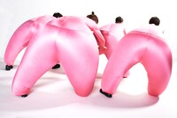 カンパニー・ディディエ・テロン／ディディエ・テロン（Photo:MARC GAILLET）