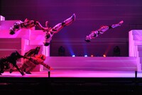 「ウルトラヒーローズ THE LIVE アクロバトル クロニクル 2016」イメージ