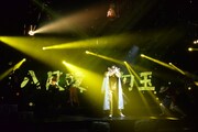 「ONE PIECE LIVE ATTRACTION “2”(セカンド)」より。