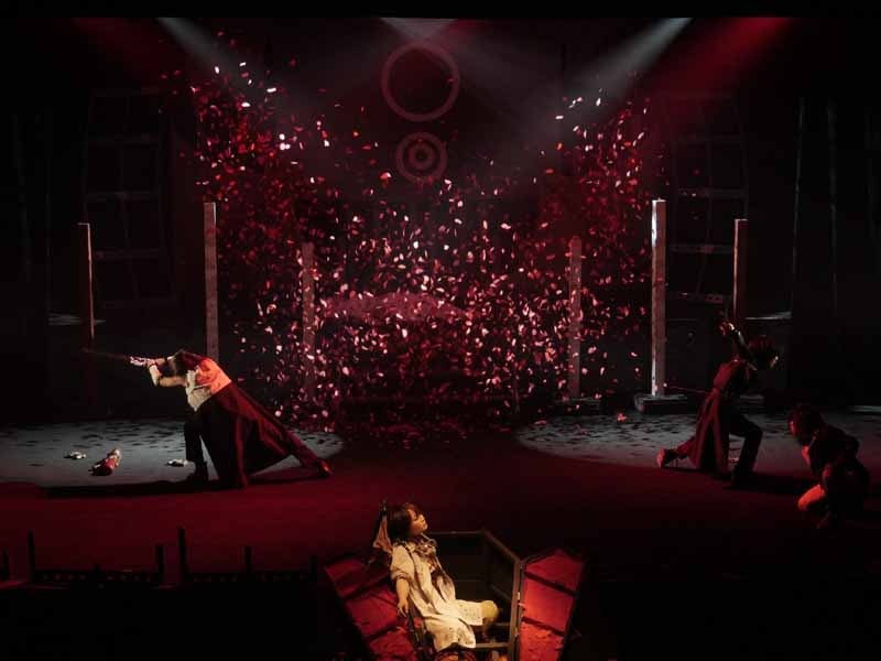 劇団カメハウス「どろどろどるーんぷらすてぃっく」より。