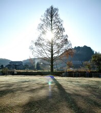 女の子には内緒 新作短編「春をゆるして」ビジュアル（Photo by Shunya Asami）