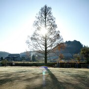 女の子には内緒、幽霊の元妻と男の短編をかがわ・山なみ芸術祭にて上演