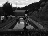 サンプル・ワークショップ「わたしたちの発明」ビジュアル