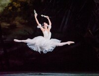 「ジゼル」に出演する高田茜。（撮影：ROH/Tristram Kenton）