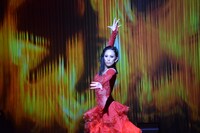 シェリル・バーク