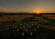 維新派「アマハラ」ビジュアル