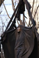 ガンジスインダスドーダスの森