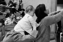 過去に行われた「コンドルズの遊育計画」の様子。