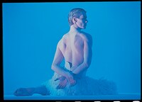 1996年に上演された、マシュー・ボーン演出・振付の「白鳥の湖」より。（photo：HUGO GLENDINNING）