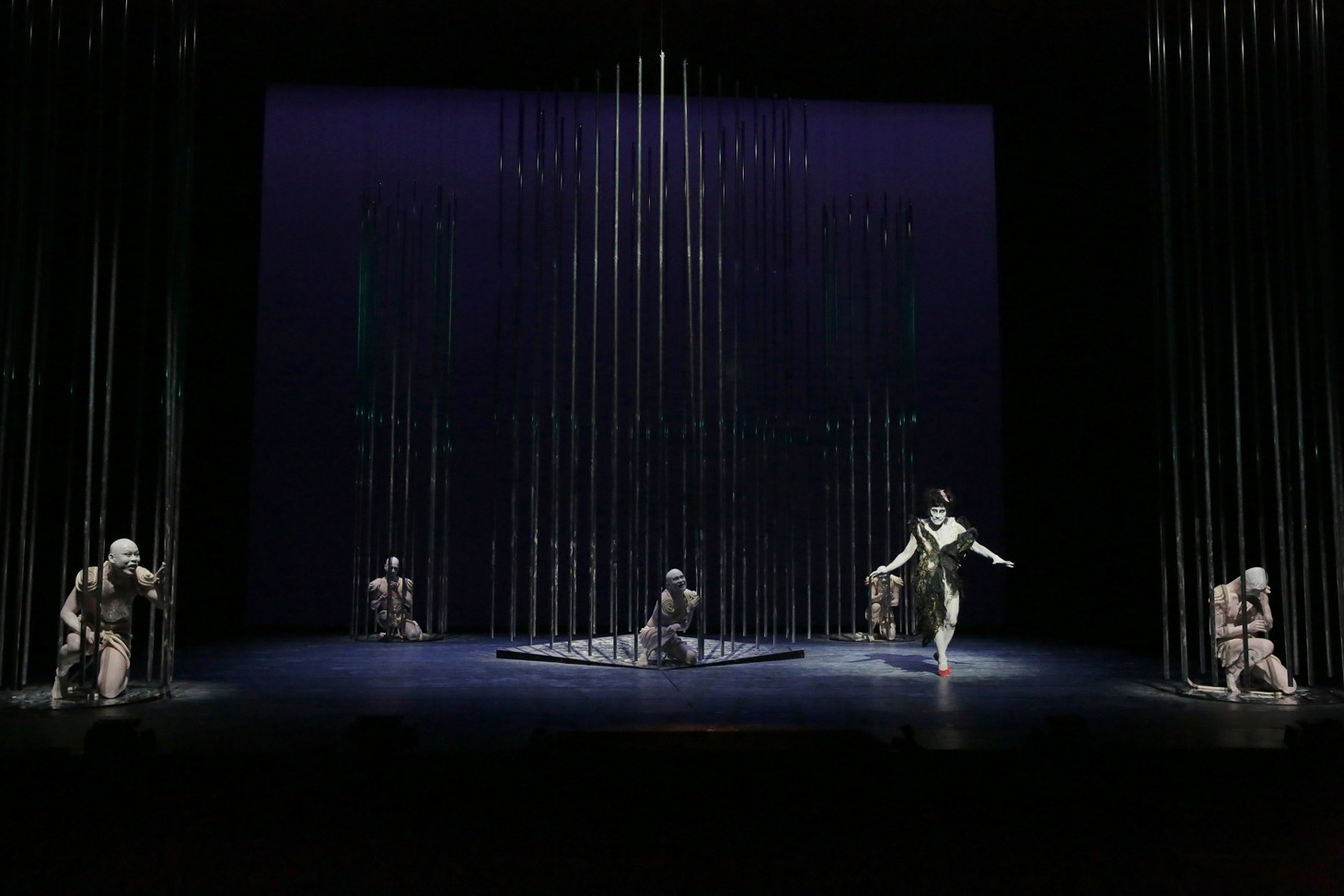 大駱駝艦「ムシノホシ」より。（撮影：川島浩之）