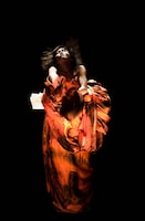 過去に上演されたオペラ「眠れる美女～House of the Sleeping Beauties～」より。(c)Kurt Van der Elst