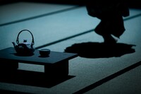 過去に上演されたオペラ「眠れる美女～House of the Sleeping Beauties～」より。(c)koen broos