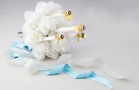 シャンシャン（イメージ）