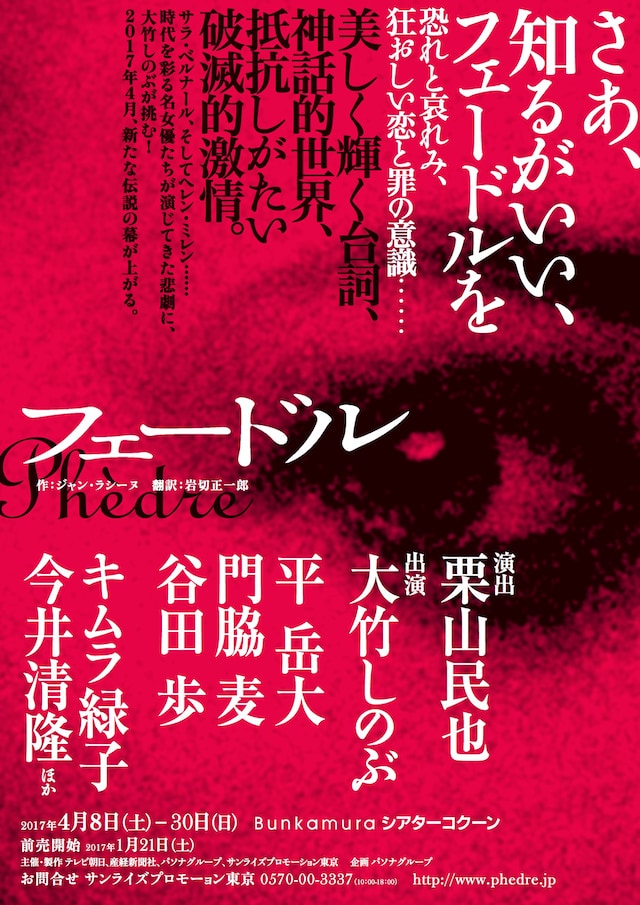 「フェードル」仮チラシ