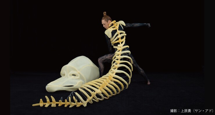 森山開次×ひびのこづえ×川瀬浩介「LIVE BONE」ビジュアル