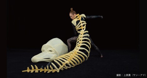 森山開次×ひびのこづえ×川瀬浩介「LIVE BONE」ビジュアル
