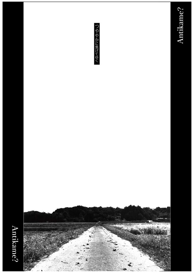 Antikame?「つややかに焦げてゆく」チラシ表