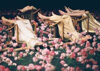 「カーネーション－NELKEN」より。(c)Ulli Weiss