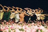 「カーネーション－NELKEN」より。(c)Ursula Kaufmann