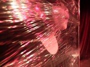 過去の公演より。