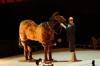 黒羽麻璃央演じる三日月宗近と馬。 撮影：岸隆子（Studio Elenish）、安田新之助