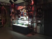 田岡一遠作品展「天狗の棲」の様子。