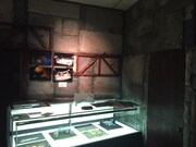 田岡一遠作品展「天狗の棲」の様子。