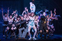 ミュージカル「キャバレー」ゲネプロより。（撮影：引地信彦）