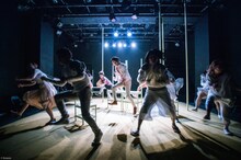 アマヤドリ（photo by bozzo）