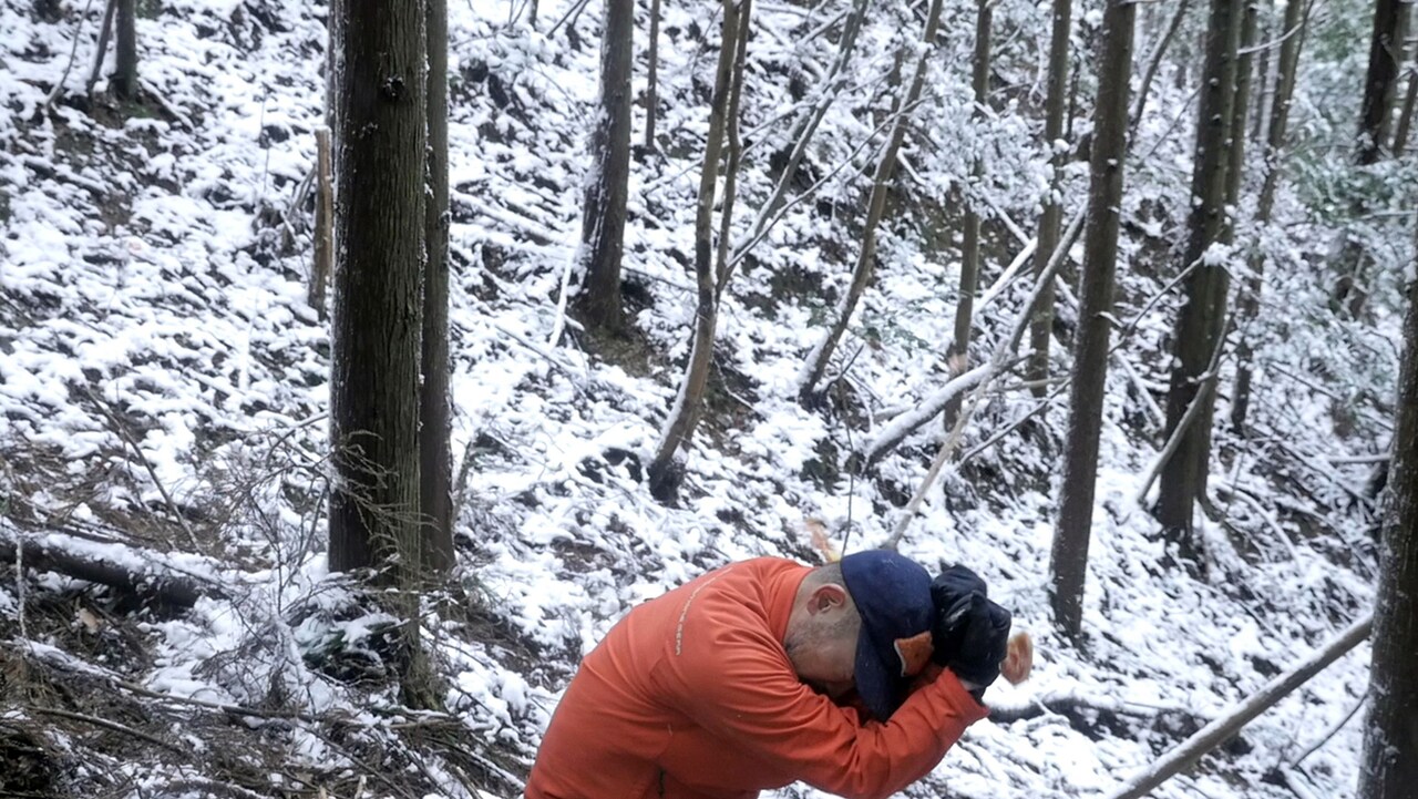 「Reborn-Art Festival2017 プレイベント contact Gonzo展『Physicatopia フィジカ・トピア』」ビジュアル