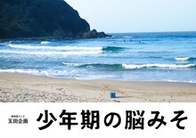 青年団リンク 玉田企画「少年期の脳みそ」チラシ