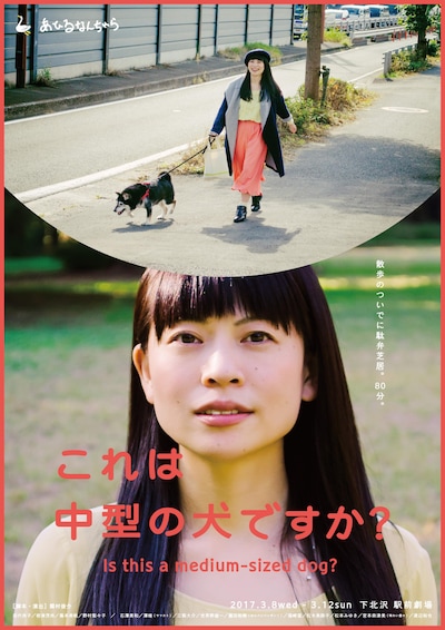 あひるなんちゃら「これは中型の犬ですか？」ビジュアル