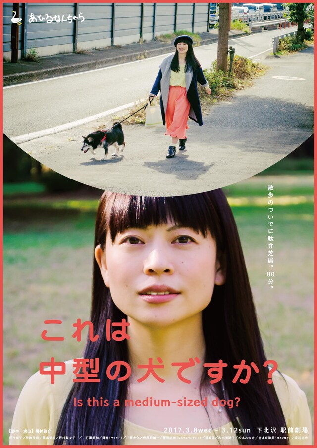 あひるなんちゃら「これは中型の犬ですか？」ビジュアル