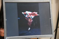 「犬夜叉」ビジュアル撮影の様子。