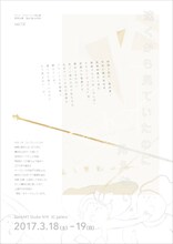 モモンガ・コンプレックス「遠くから見ていたのに見えない。」チラシ