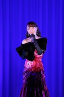 貴城けい「芸能生活25周年 宝塚退団10周年記念 ディナーショー『Fragilite』」より。（撮影：宮川舞子）