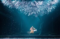 「NINAGAWA・マクベス」の様子。（撮影：清田征剛）