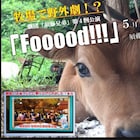 しぼりたてミルク付き「Fooood!!!」千葉・須藤牧場で夜空の野外公演