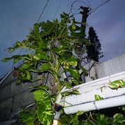 石川竜一が撮影した作品。