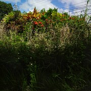 石川竜一が撮影した作品。