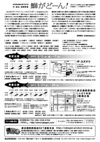 渡辺源四郎商店第27回公演「鰤がどーん！」チラシ裏