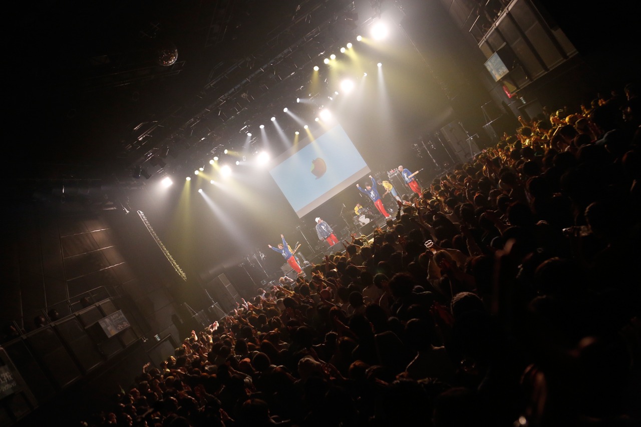 どついたるねん「JAPAN TOUR 2017『彦龍』ツアーファイナル」の様子。（Photo by 中島たくみ、のうだちなみ）